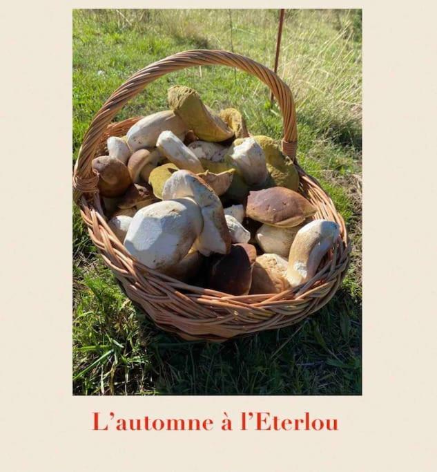 L'Eterlou Authentique Partie De Corps De Ferme 10Pers. Villa Targassonne Екстериор снимка